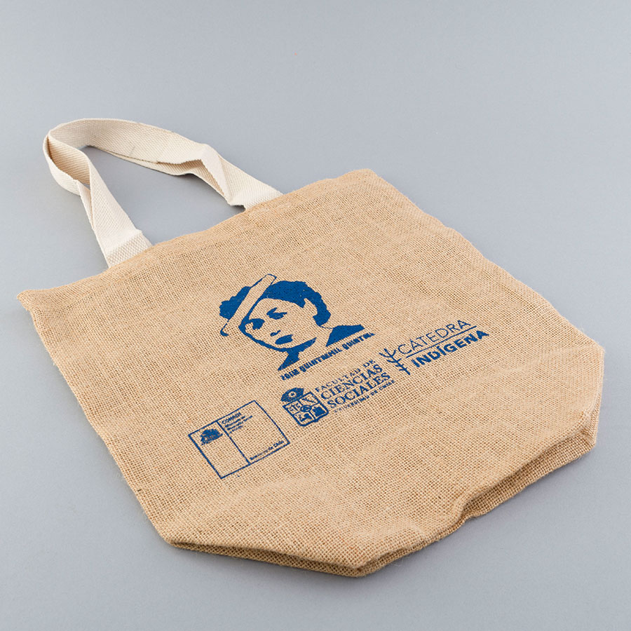 Bolsa Cátedra Indígena con Zoila Quintremil Quintrel.