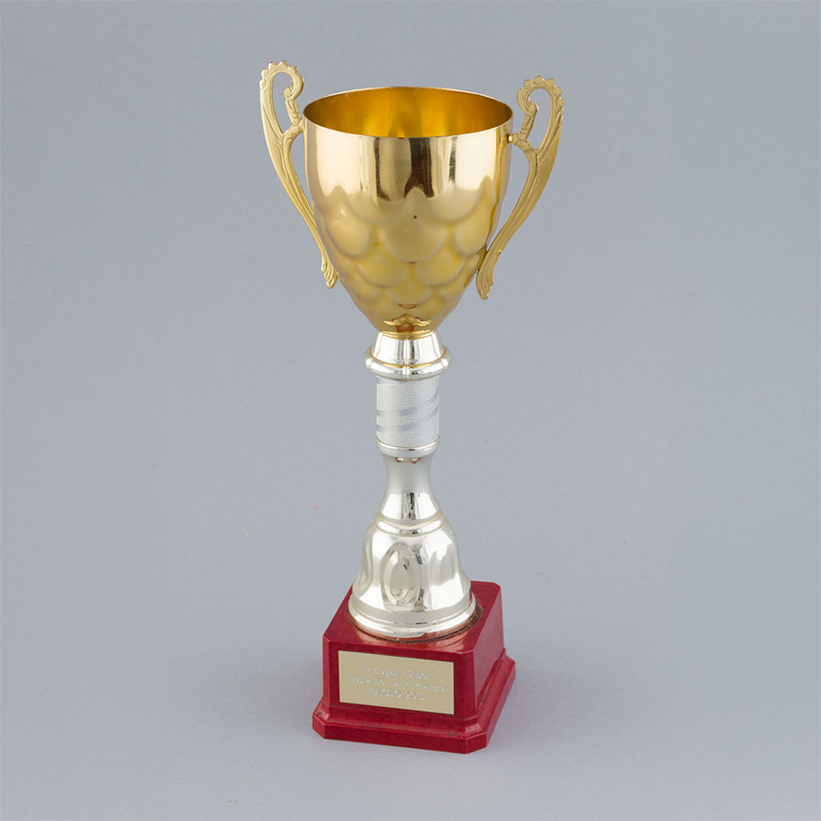 Copa 1º Lugar Fútbol Fiesta de la Primavera FACSO 2015, ganadoras equipo femenino triestamental de Antropología.
