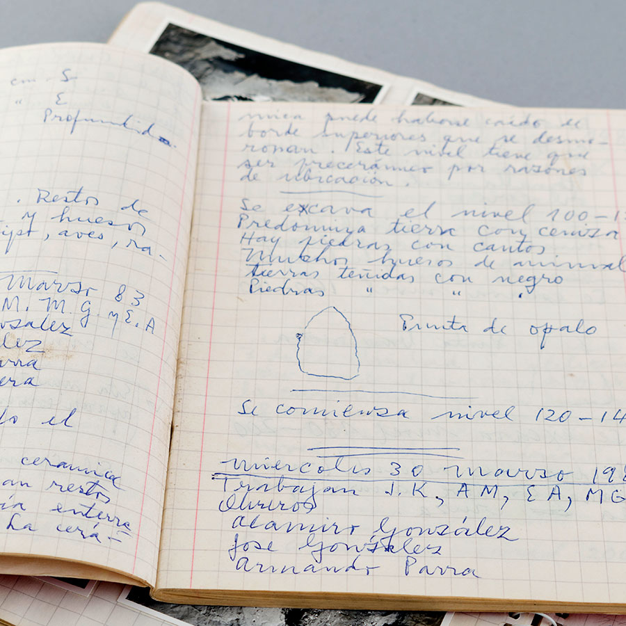 Diario de campo.