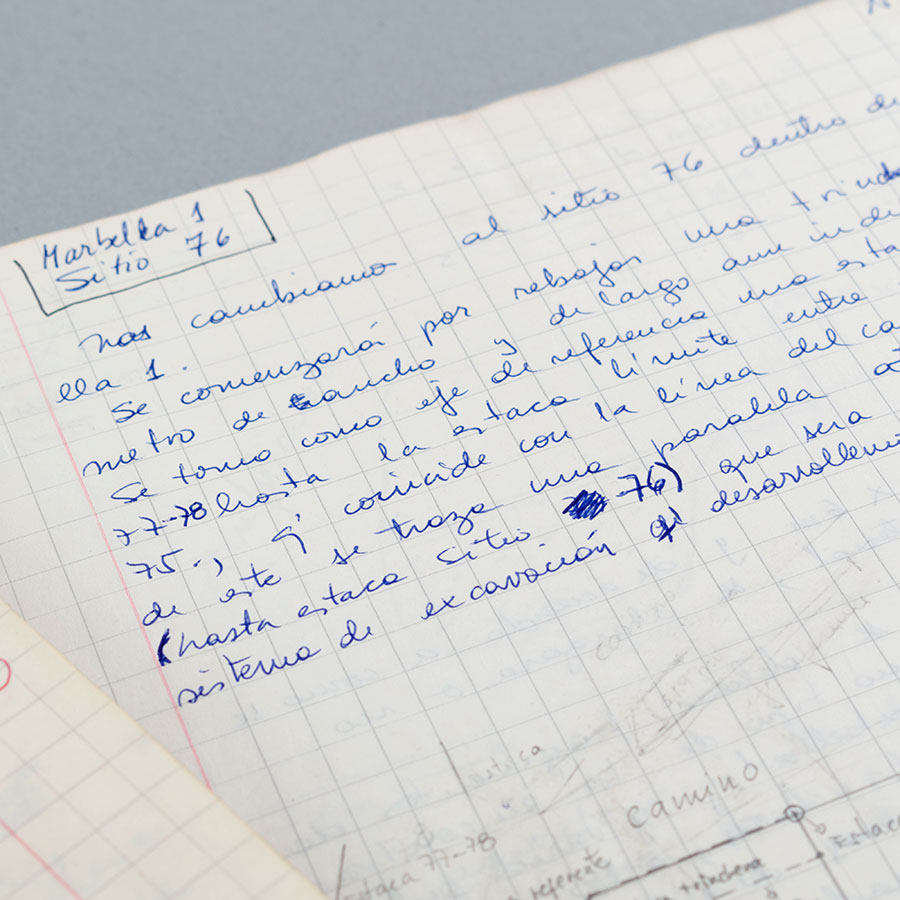 Diario de campo.