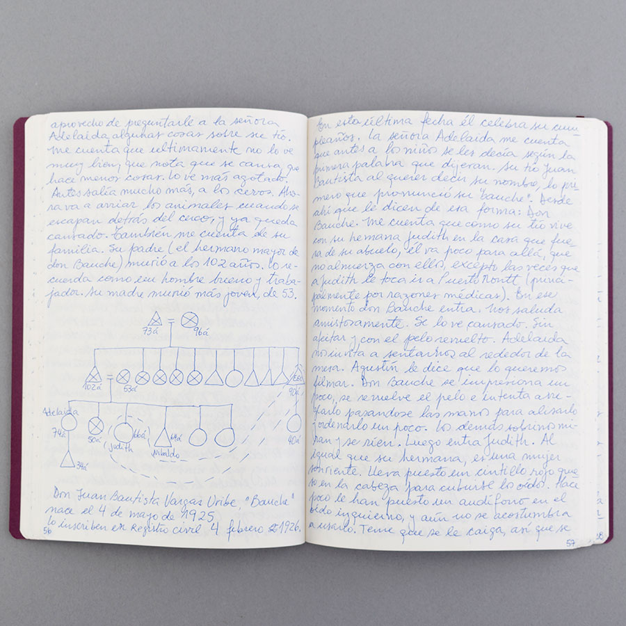 Diario de campo.